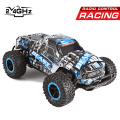 DWI RC Off Road Monster Climbing Waterproof 4x4 Buggies RC Truck